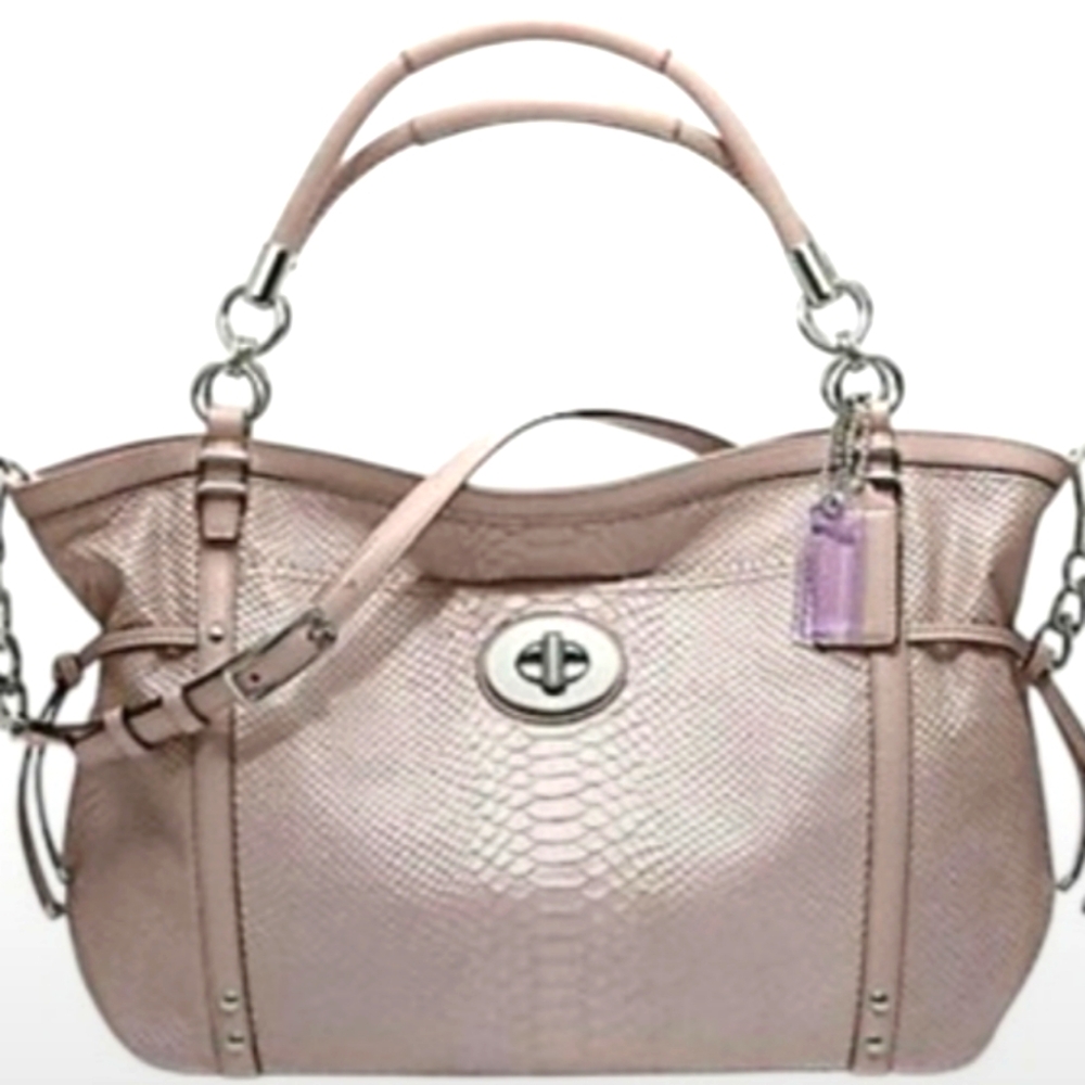 Coach 2012 Audrey Cinched Pinnacle Exotic Python Emb. Large E/W Tote